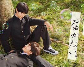 海康威视首席合规官黄方红：针对加拿大要求海康威视加拿大公司停止运营命令，公司向加拿大联邦法院提起诉讼